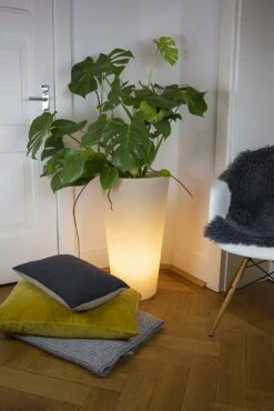 Shining Pot "Classic" - Leuchte (LED), L -Pflanzensamen Rabatt 8 seasons design shining pot classic leuchte led 1669713 de