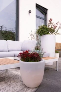 Shining Pot "Curvy" - Leuchte (LED), S 16 Shining Pot "Curvy" - Leuchte (LED), S -Pflanzensamen Rabatt 8 seasons design shining pot curvy leuchte led 1185157 de