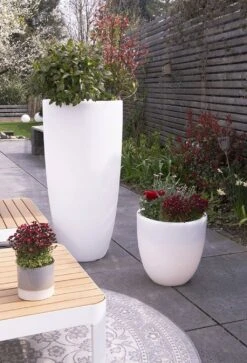 Shining Pot "Curvy" - Leuchte (RGB), XM -Pflanzensamen Rabatt 8 seasons design shining pot curvy leuchte rgb 1677636 de