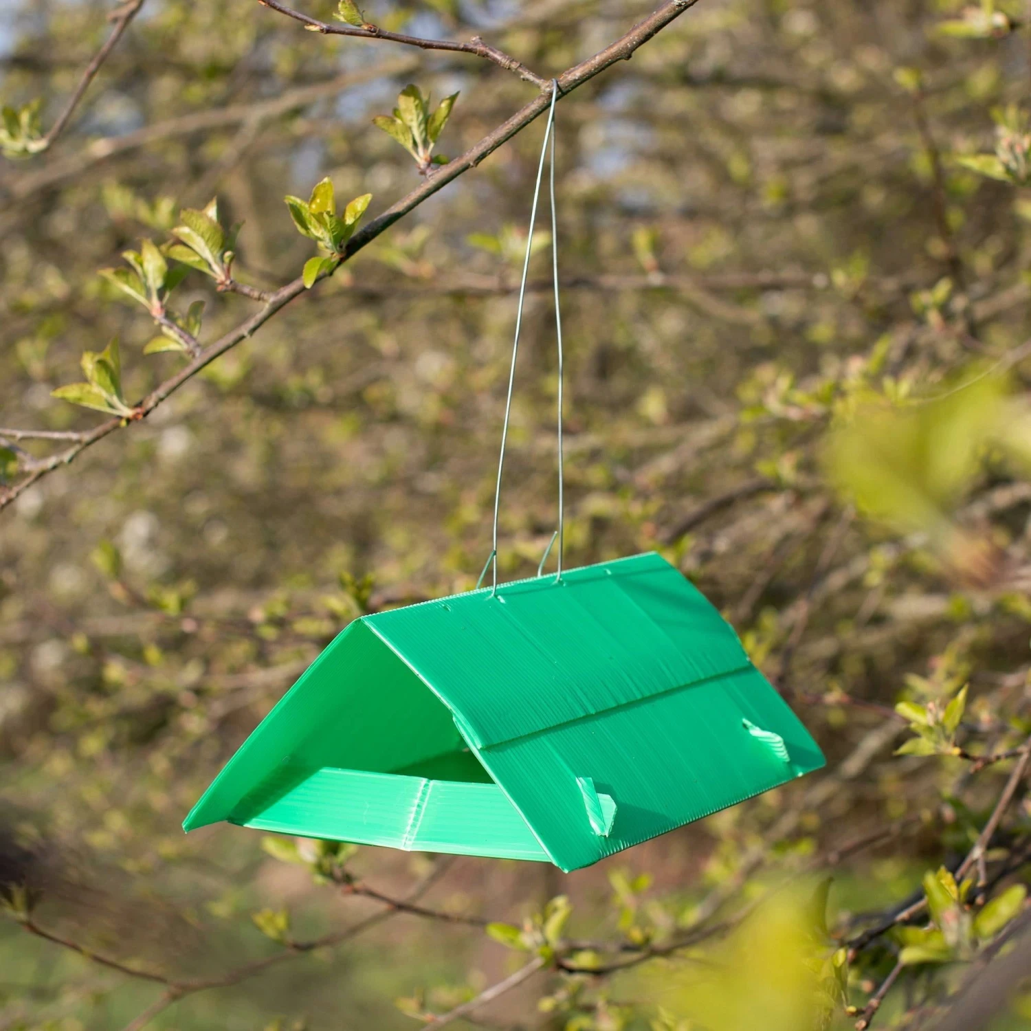 Apfelwickler-Falle 4 Apfelwickler-Falle – Bild 2