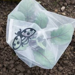 Insektenschutz-Tasche "Gemüse", 6 Stück -Pflanzensamen Rabatt andermatt biogarten insektenschutz tasche gemuese 6 stueck 1614065 de