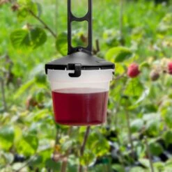 Kirschessigfliegen-Falle DrosaLure, 1 L -Pflanzensamen Rabatt andermatt biogarten kirschessigfliegen falle drosalure 1 k 1214417 de