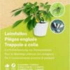 Leimfallen Gelb -Pflanzensamen Rabatt andermatt biogarten leimfallen gelb 1 paket 1663397 de