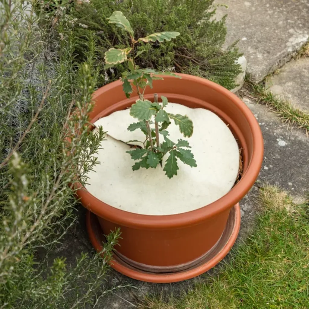 Mulchscheibe, ∅ 25 Cm 8 Mulchscheibe, ∅ 25 Cm – Bild 6