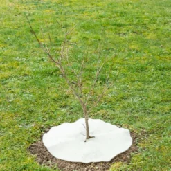 Mulchscheibe, ∅ 25 Cm 12 Mulchscheibe, ∅ 25 Cm -Pflanzensamen Rabatt andermatt biogarten mulchscheibe 100 cm 1683258 de