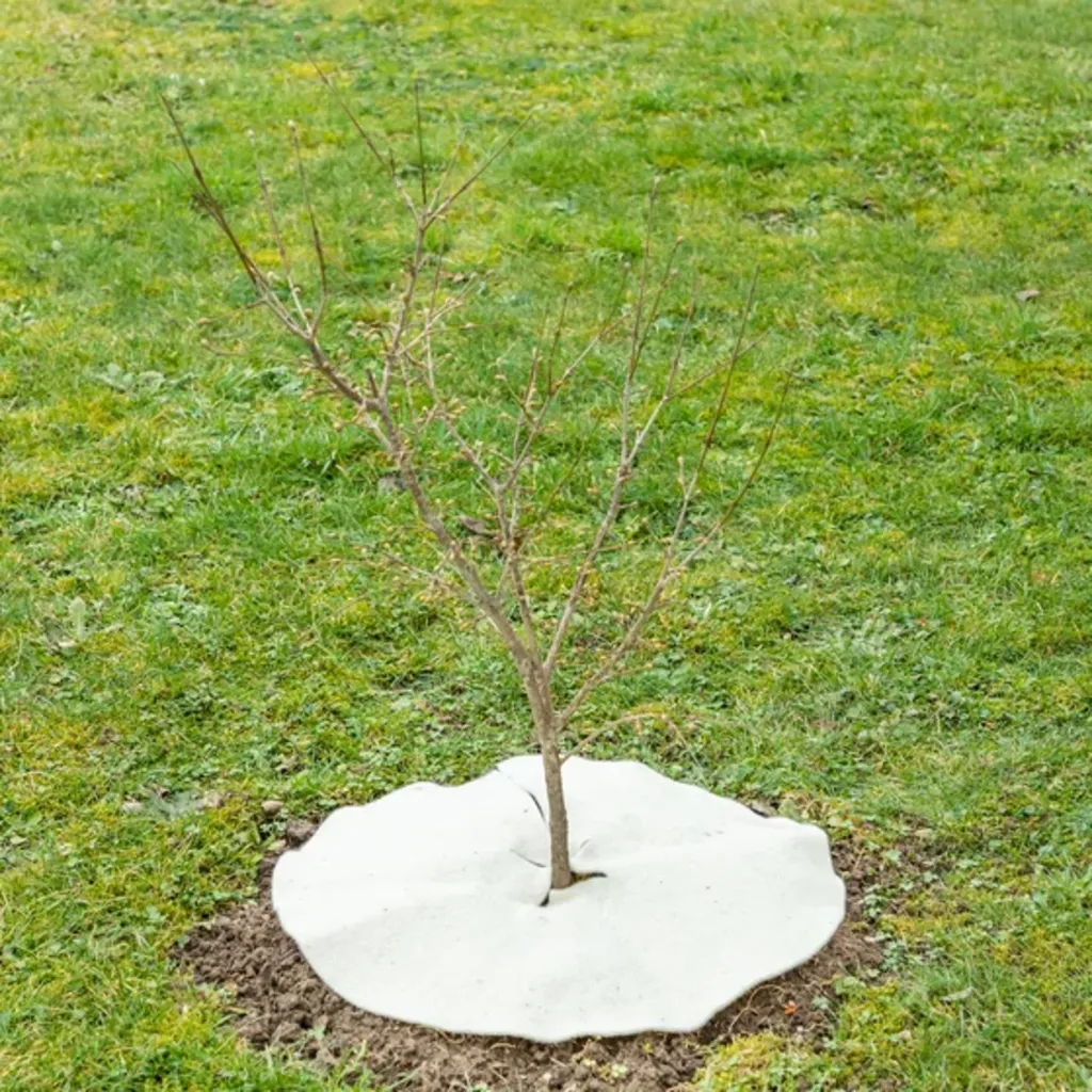 Mulchscheibe, ∅ 25 Cm 6 Mulchscheibe, ∅ 25 Cm – Bild 4