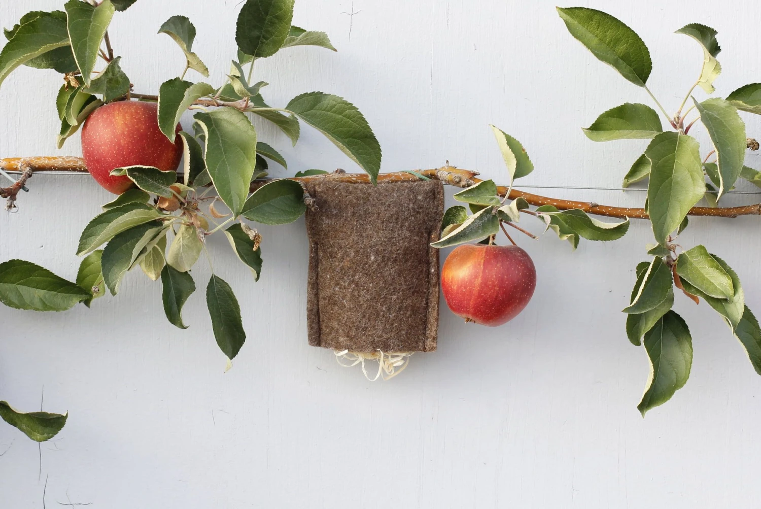 Ohrwurmsäckli 4 Ohrwurmsäckli – Bild 2