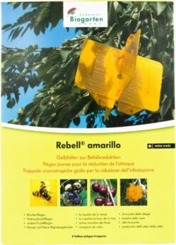 Rebell Amarillo Kreuzfallen - Set 6 Rebell Amarillo Kreuzfallen - Set -Pflanzensamen Rabatt andermatt biogarten rebell amarillo kreuzfallen set 1 st 1657311 de