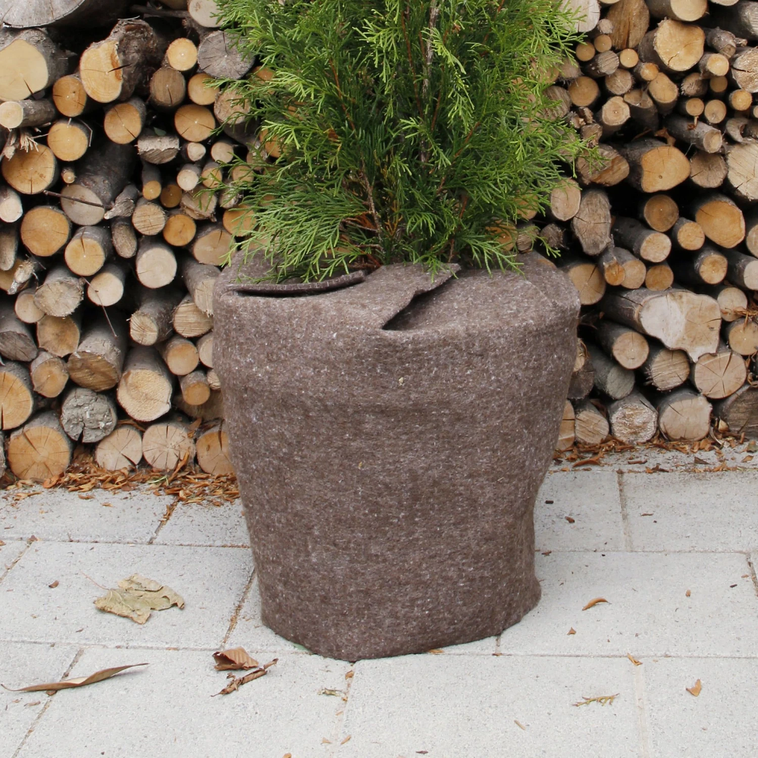 Winterschutzfilz, Ø 30-40 Cm 3 Winterschutzfilz, Ø 30-40 Cm