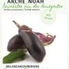 Bio Melanzani / Aubergine "Benary’s Blaukönigin" -Pflanzensamen Rabatt arche noah bio melanzani aubergine benarys blaukoenigin 1 pkg 858589 de
