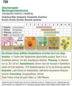 Marienglockenblume"Glockenspiel"