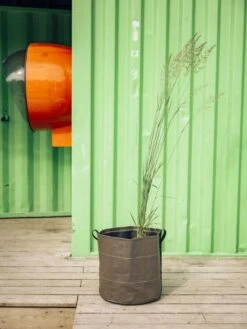 Pflanztasche "Classic" - Geotextil, 10 L -Pflanzensamen Rabatt bacsac pflanztasche classic geotextil 1681147 de