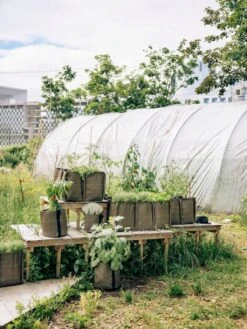 Pflanztasche "Classic" - Geotextil, 10 L -Pflanzensamen Rabatt bacsac pflanztasche classic geotextil 1681149 de