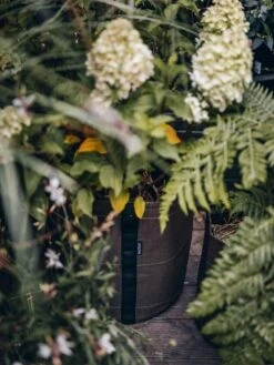 Pflanztasche "Classic" - Geotextil, 10 L -Pflanzensamen Rabatt bacsac pflanztasche classic geotextil 1681150 de