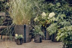 Pflanztasche "Classic" - Geotextil, 10 L -Pflanzensamen Rabatt bacsac pflanztasche classic geotextil 1681151 de