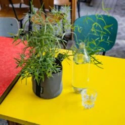 Pflanztasche "Colour" - 10 Liter, Ingwer -Pflanzensamen Rabatt bacsac pflanztasche colour 10 liter 1681162 de