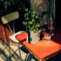 Pflanztasche "Colour" - 10 Liter, Ingwer -Pflanzensamen Rabatt bacsac pflanztasche colour 10 liter 1681164 de