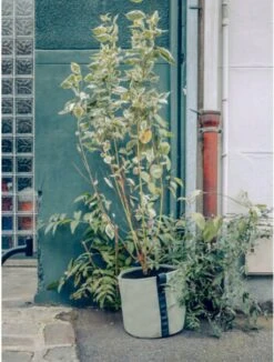 Pflanztasche "Colour" - 25 Liter, Limette -Pflanzensamen Rabatt bacsac pflanztasche colour 25 liter kalk 1681185 de