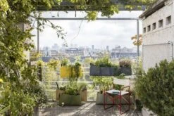 Pflanztasche Zum Hängen "Colours", Asphalt -Pflanzensamen Rabatt bacsac pflanztasche zum haengen colours 1681214 de