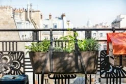 Pflanztasche Zum Hängen "Humus" 8 Pflanztasche Zum Hängen "Humus" -Pflanzensamen Rabatt bacsac pflanztasche zum haengen humus 1681203 de