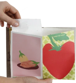 Tomatensamen-Buch FR/EN 11 Tomatensamen-Buch FR/EN -Pflanzensamen Rabatt bacsac tomatensamen buch fr en fr en 1 stk 1697967 de