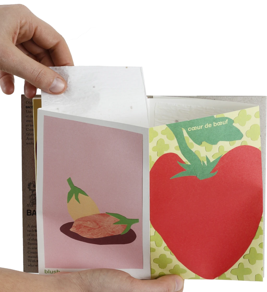 Tomatensamen-Buch FR/EN 7 Tomatensamen-Buch FR/EN – Bild 5