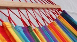 Stabhängematte Acro Iris -Pflanzensamen Rabatt bahia stabhaengematte acro iris 1 st 1669538 de