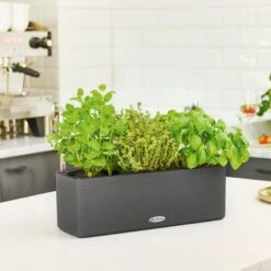 LECHUZA CUBE Color Triple Komplett-Set, Sandbraun 15 LECHUZA CUBE Color Triple Komplett-Set, Sandbraun -Pflanzensamen Rabatt balconissima color 40 komplett set 648962 de