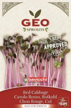 Bio Keimsprossen "Rotkohl", 12 G -Pflanzensamen Rabatt bavicchi bio keimsprossen rotkohl 12 g 1666766 de