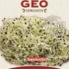 Bio Keimsprossen "Schnittknoblauch", 6 G 1 Bio Keimsprossen "Schnittknoblauch", 6 G -Pflanzensamen Rabatt bavicchi bio keimsprossen schnittknoblauch 6 g 1666763 de