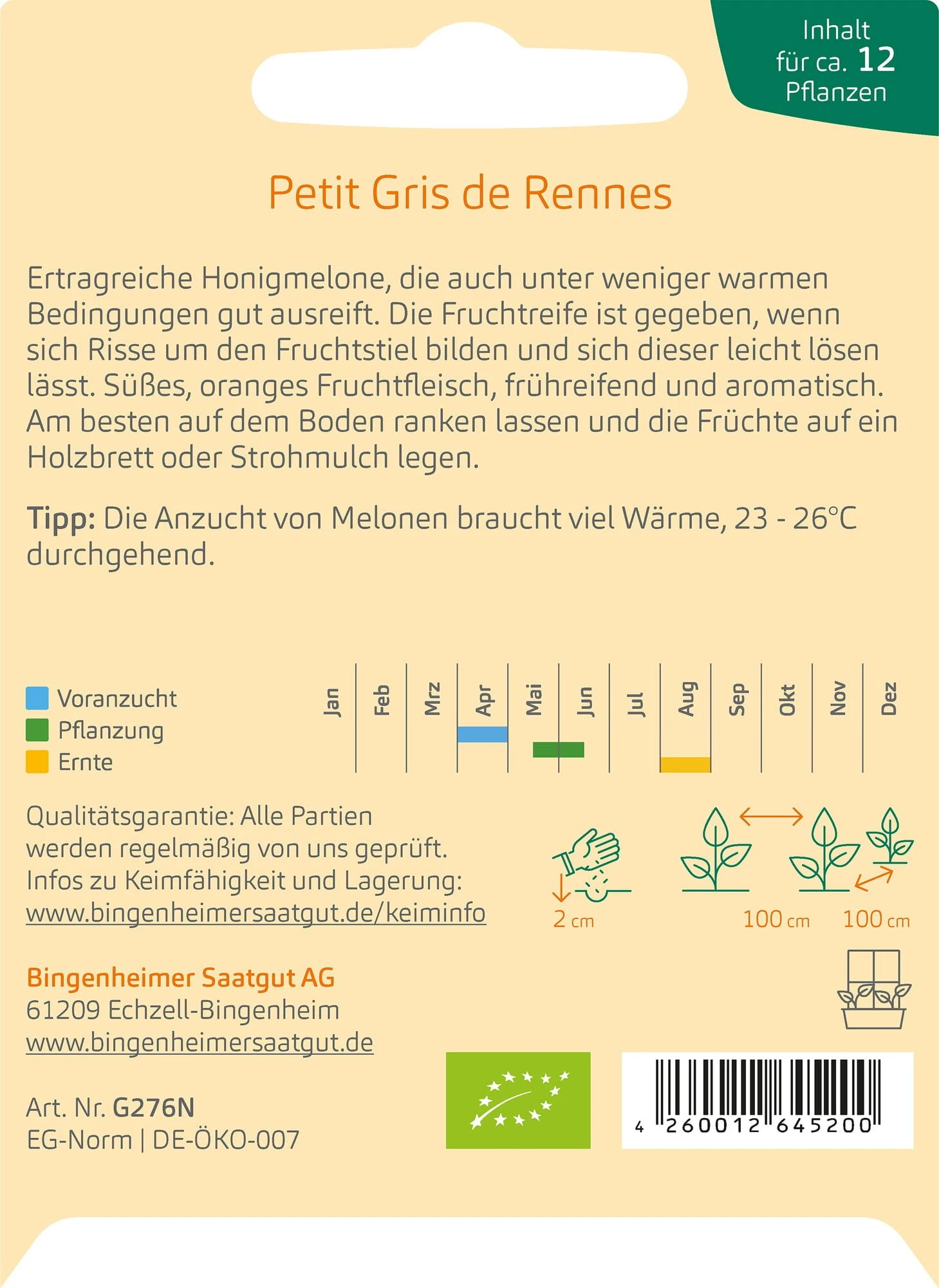 Zuckermelone "Petit Gris De Rennes" 3 Zuckermelone "Petit Gris De Rennes"