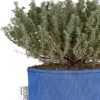 Pflanztasche Aus Geotextil ∅ 12 Cm, Blau -Pflanzensamen Rabatt bourgeon pflanztasche aus geotextil 12 cm 1701849 de