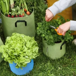 Pflanztasche Aus Geotextil ∅ 40 Cm, Grün -Pflanzensamen Rabatt bourgeon pflanztasche aus geotextil 40 cm blau 1695901 de