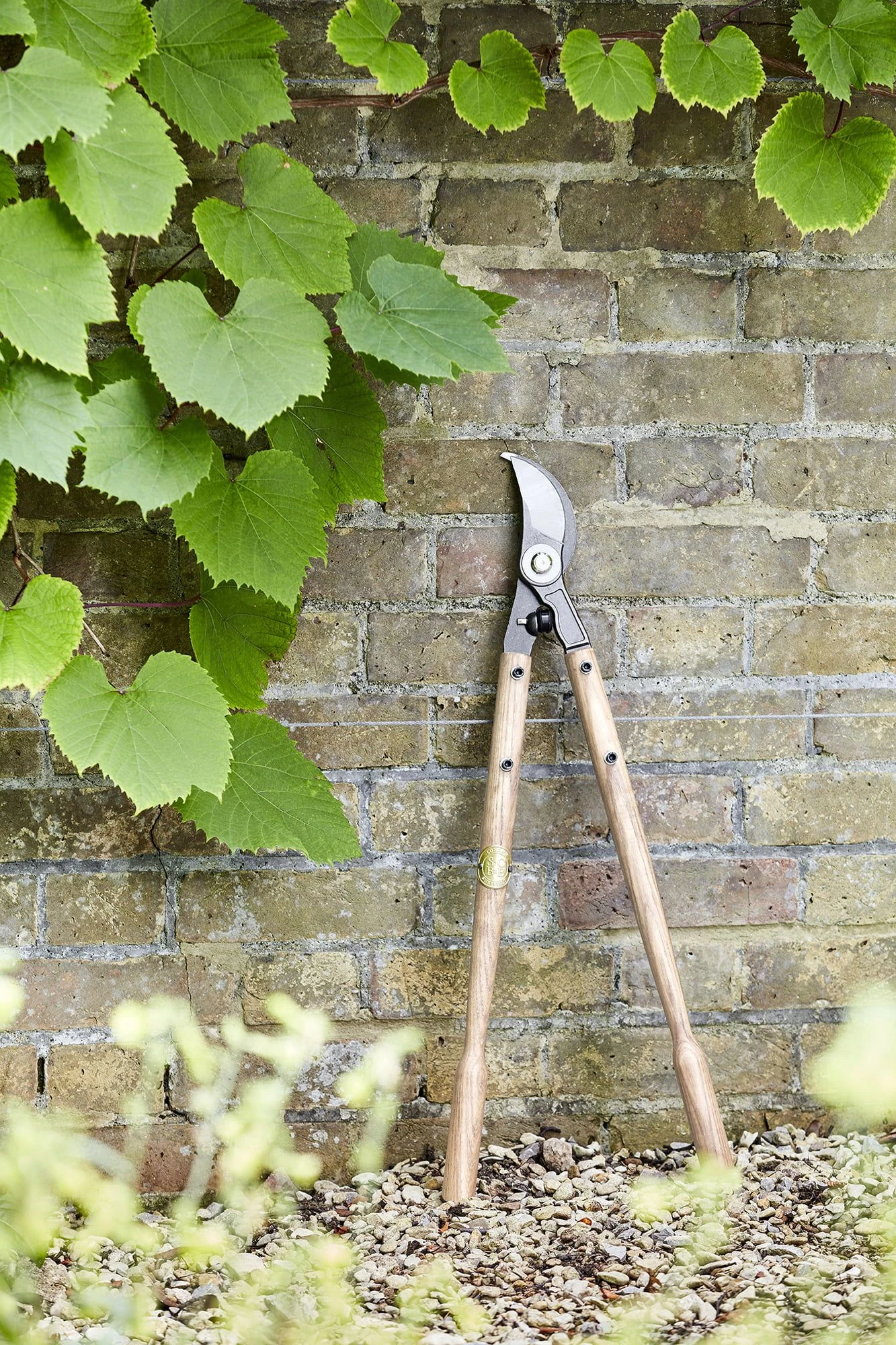 Baumschere 5 Baumschere – Bild 3