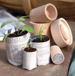 Eco Pot Maker -Pflanzensamen Rabatt burgon ball eco pot maker 1 set 1665939 de