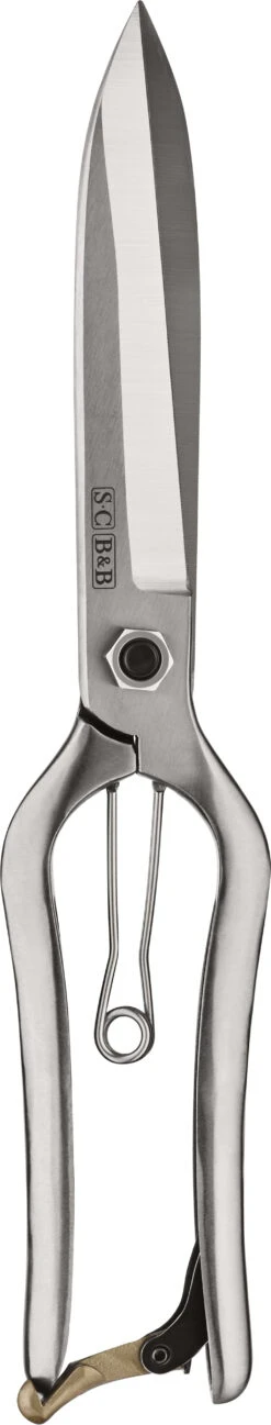 Formschnitt Schere 10 Formschnitt Schere -Pflanzensamen Rabatt burgon ball formschnitt schere 1671078 de