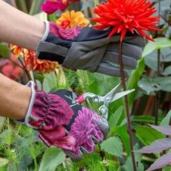 Gartenhandschuhe "British Bloom" -Pflanzensamen Rabatt burgon ball gartenhandschuhe british bloom 1 st 1670031 de