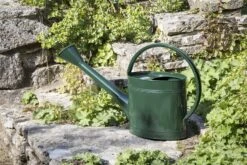 Gießkanne 5 Liter, Grün 13 Gießkanne 5 Liter, Grün -Pflanzensamen Rabatt burgon ball giesskanne 5 liter 1668798 de