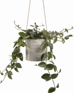 Hängetopf "Modena" -Pflanzensamen Rabatt burgon ball haengetopf modena 1 stk 861217 de