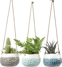 Hängetopf-Set "Baby Dotty"