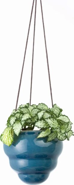 Hängetopf-Trio "Baby Bombini" -Pflanzensamen Rabatt burgon ball haengetopf trio baby bombini 1 set 1672744 de