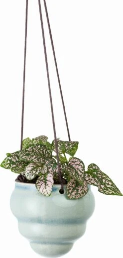 Hängetopf-Trio "Baby Bombini" -Pflanzensamen Rabatt burgon ball haengetopf trio baby bombini 1 set 1672745 de