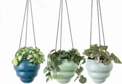 Hängetopf-Trio "Baby Bombini" -Pflanzensamen Rabatt burgon ball haengetopf trio baby bombini 1 set 861515 de