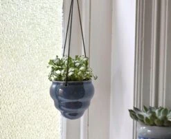 Hängetopf-Trio "Baby Bombini" -Pflanzensamen Rabatt burgon ball haengetopf trio baby bombini 1 set 861543 de