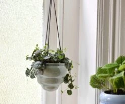 Hängetopf-Trio "Baby Bombini" -Pflanzensamen Rabatt burgon ball haengetopf trio baby bombini 1 set 861550 de