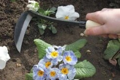 Japanische Sichel Für Rechtshänder -Pflanzensamen Rabatt burgon ball japanische sichel fuer rechtshaender 1 st 1665925 de