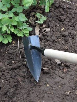 Mighty Pick -Pflanzensamen Rabatt burgon ball mighty pick 1 k 1121858 de