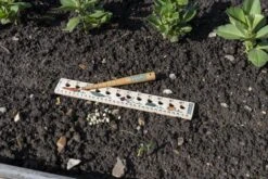 Pflanzlineal & Setzholz Für Kinder -Pflanzensamen Rabatt burgon ball pflanzlineal setzholz fuer kinder 1 set 1643920 de