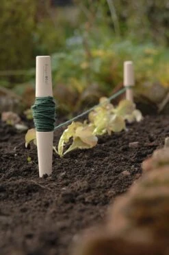 Pflanzschnur -Pflanzensamen Rabatt burgon ball pflanzschnur 1651396 de