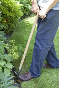 Rasenkantenstecher Aus Edelstahl -Pflanzensamen Rabatt burgon ball rasenkantenstecher aus edelstahl 1 st 1669329 de